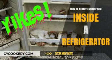 Freshen Up Your Fridge: A Guide to Mold-Free Interiors