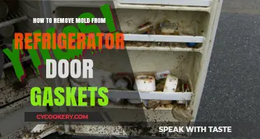 Effective Ways to Eliminate Mold from Your Fridge Door Gaskets