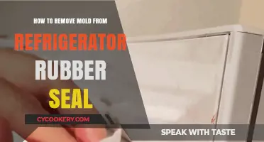 Effective Ways to Eliminate Mold from Your Refrigerator's Rubber Seal