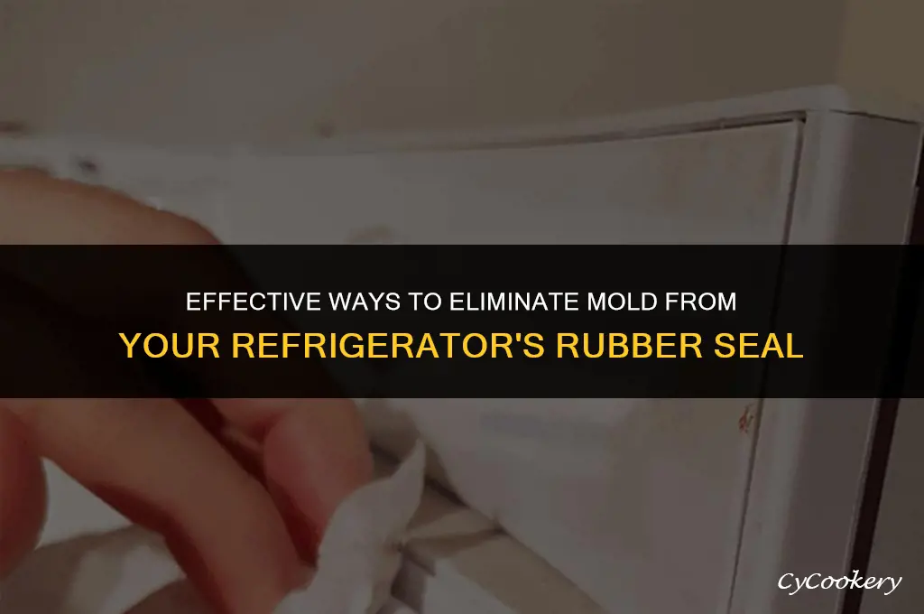 how to remove mold from refrigerator rubber seal