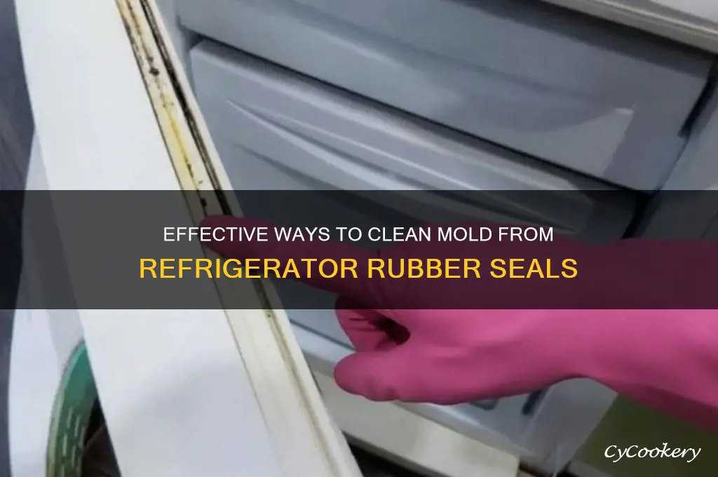 how to remove mold from refrigerator rubber