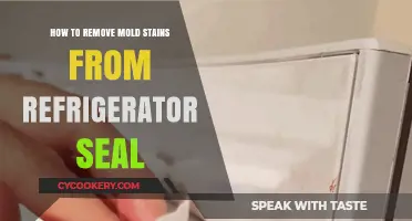 Effective Ways to Eliminate Mold Stains from Your Refrigerator Seal