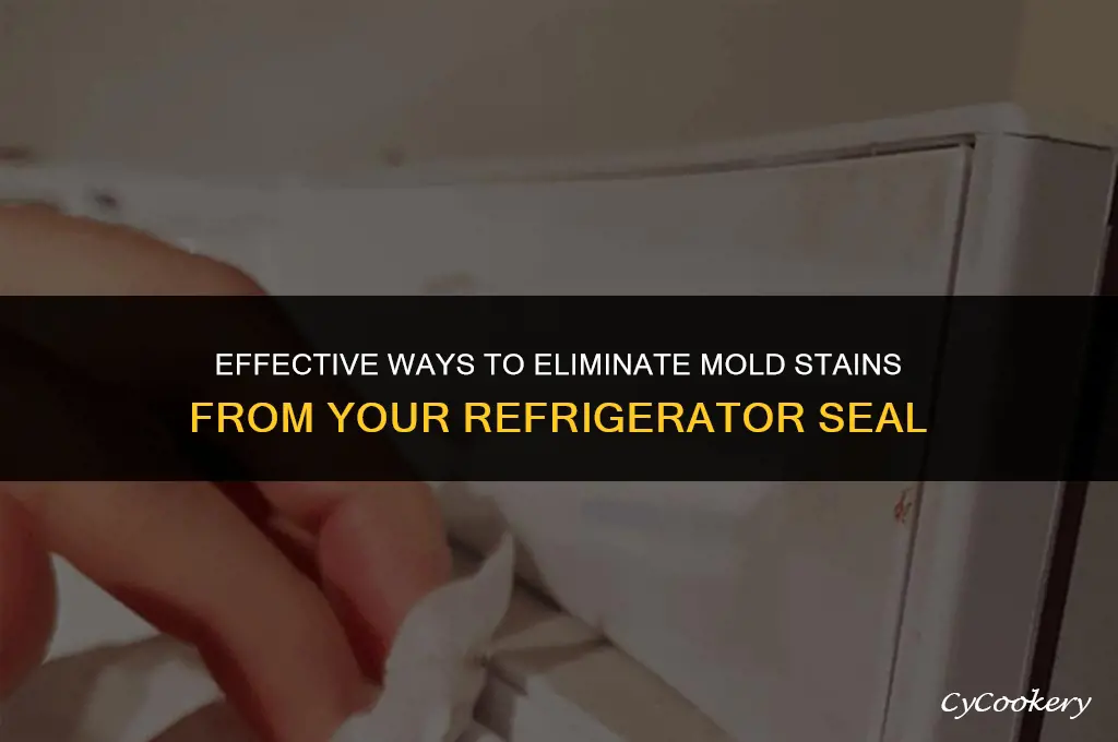 how to remove mold stains from refrigerator seal