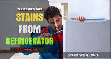 Effective Tips to Remove Mold Stains from Your Refrigerator Easily