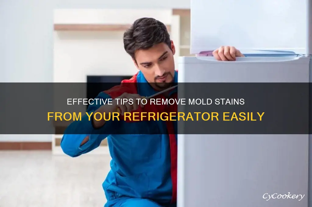 how to remove mold stains from refrigerator