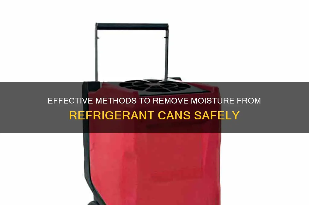 how to remove mosture in refrigerant can