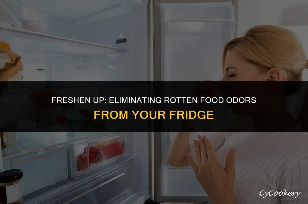 how to remove odor of rotten food from refrigerator