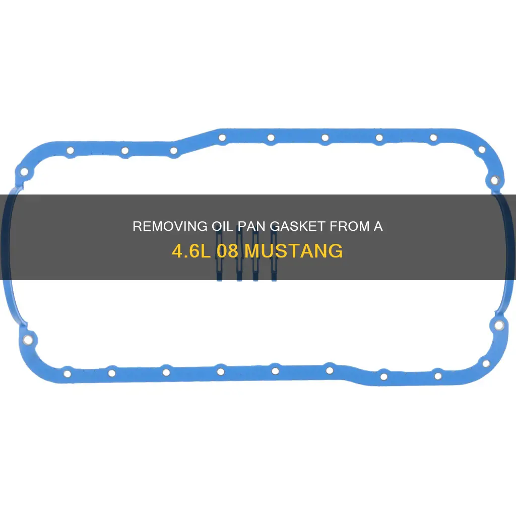 how to remove oil pan gasket from 4.6l 08 mustang