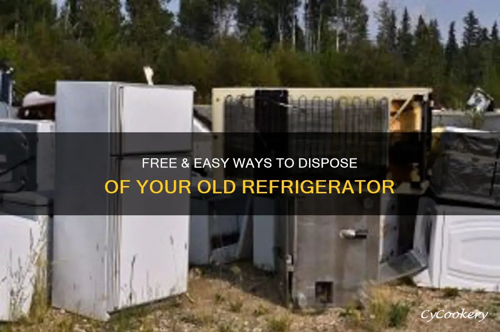 how to remove old refrigerator for free
