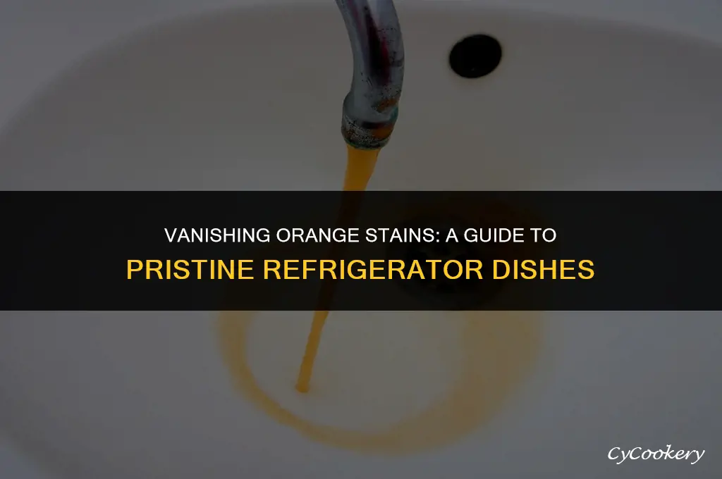 how to remove orangish stains from refrigerator dishes
