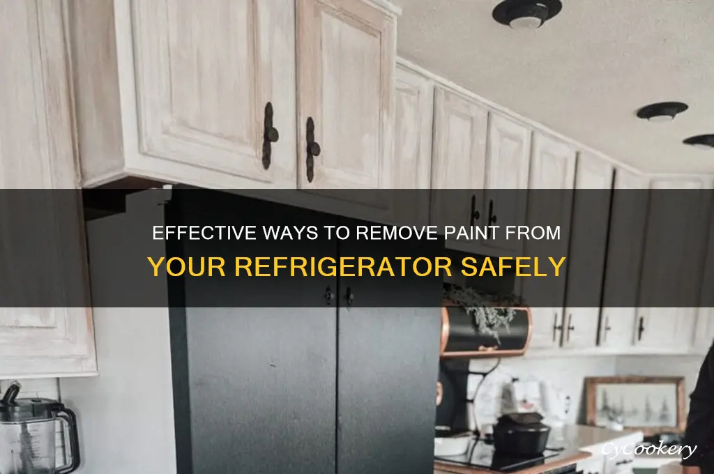how to remove paint from a refrigerator