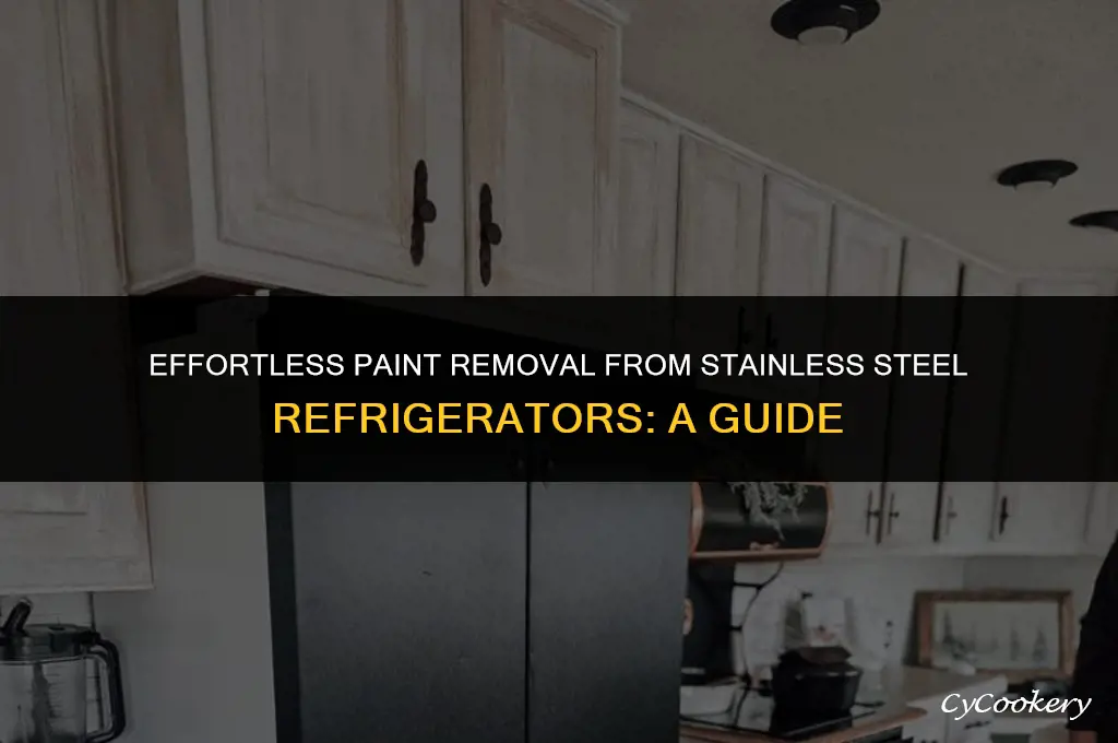 how to remove paint from stainless steel refrigerator