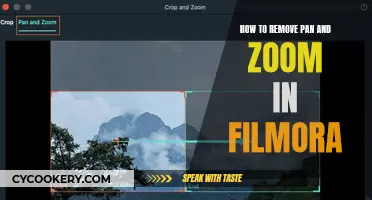 Unlock Filmora's Pan and Zoom Removal Secrets