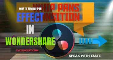 Eliminating Pan Effect with Wondershare: A Step-by-Step Guide