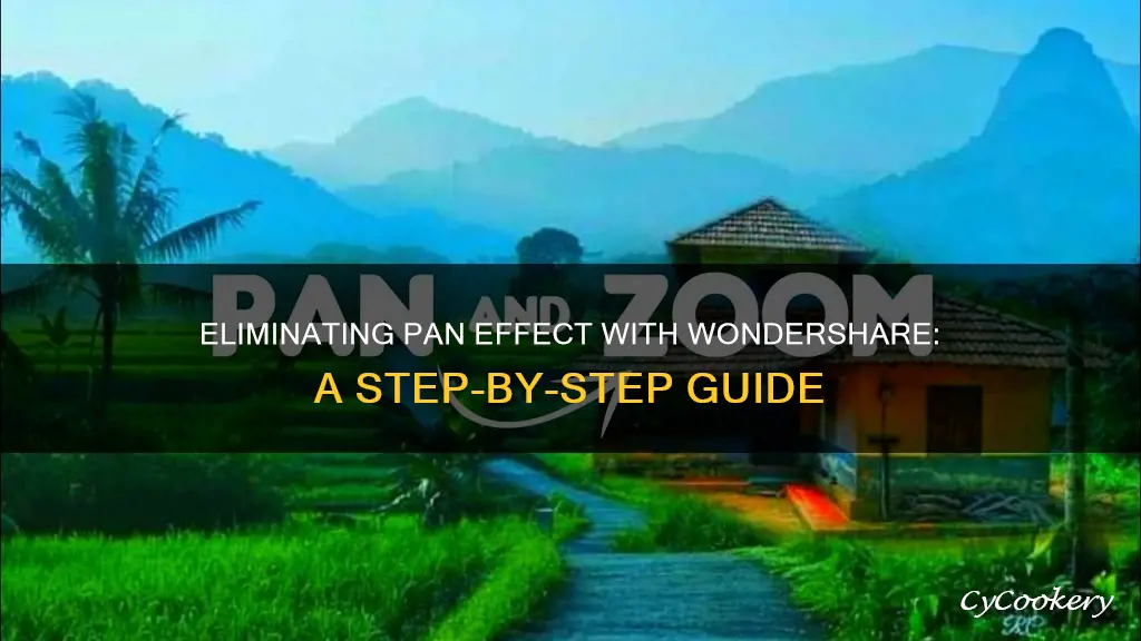 how to remove pan effect in wondershare