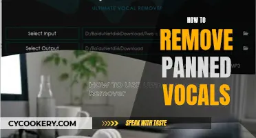 Removing Panned Vocals: Techniques for a Cleaner Mix