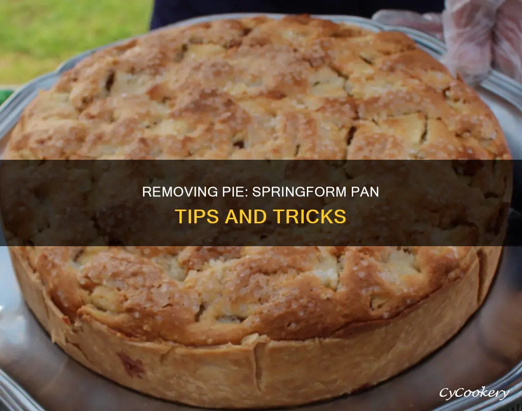 how to remove pie from springform pan