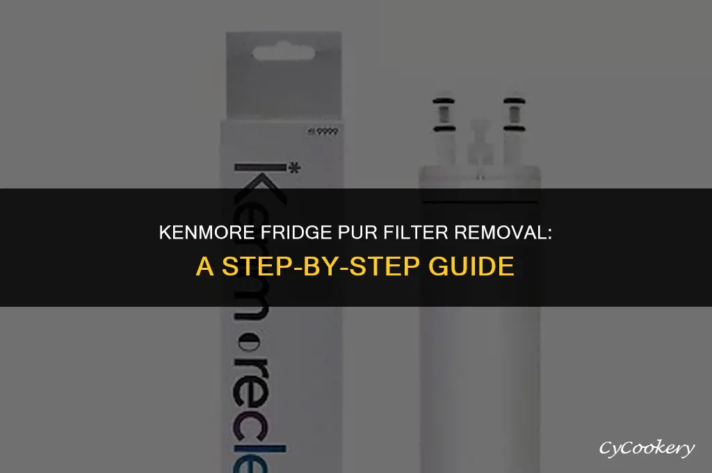 how to remove pur filter from kenmore refrigerator