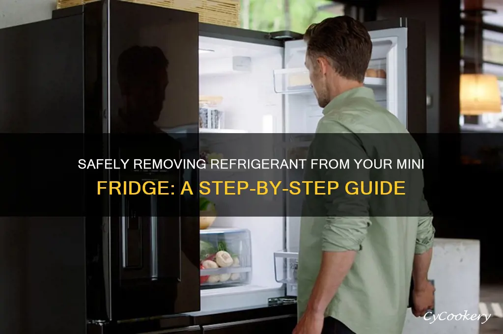 how to remove refrigerant from mini fridge