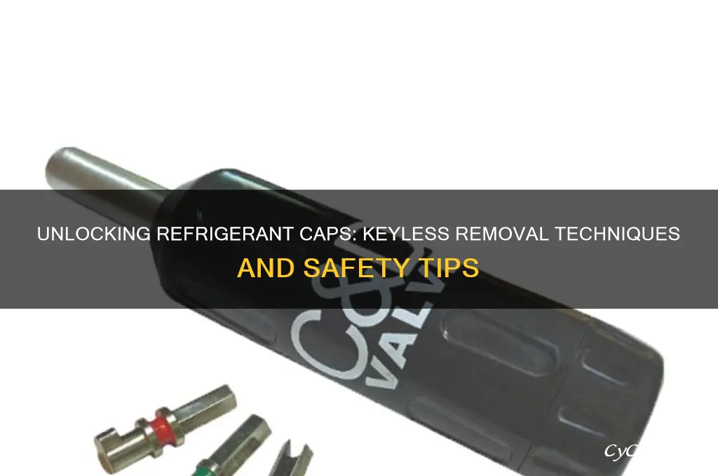 how to remove refrigerant locking caps without key