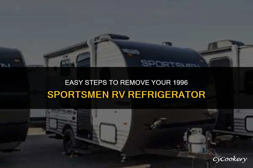 how to remove refrigerator in 1996 sportsmen rv
