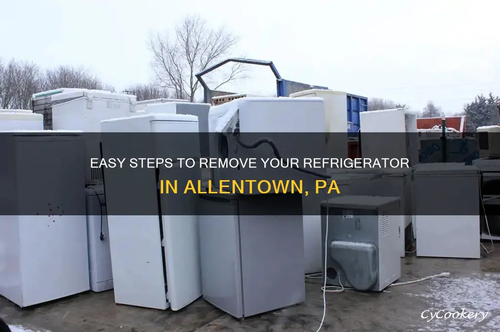 how to remove refrigerator in allentown pa