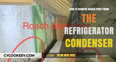 Efficiently Clean Roach Poop from Your Fridge Condenser: A Guide