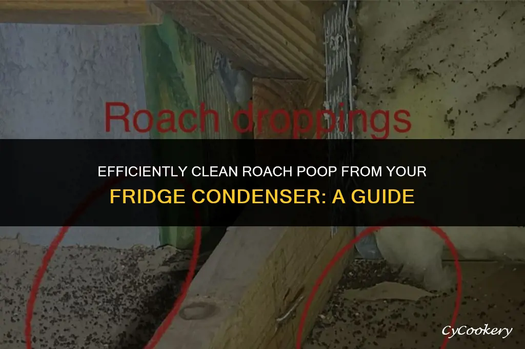 how to remove roach poop from the refrigerator condenser