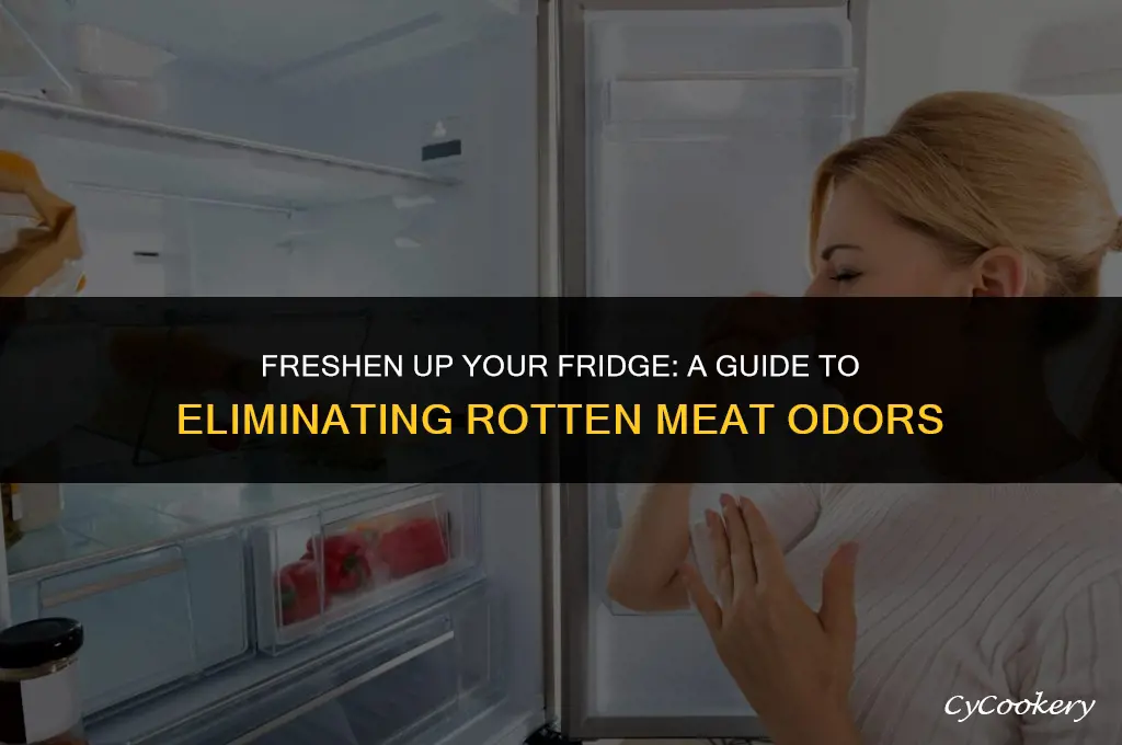 how to remove rotten meat smell from refrigerator