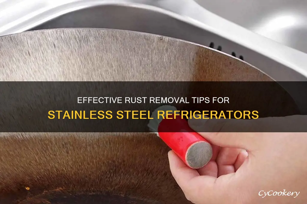how to remove rust from a stainless steel refrigerator