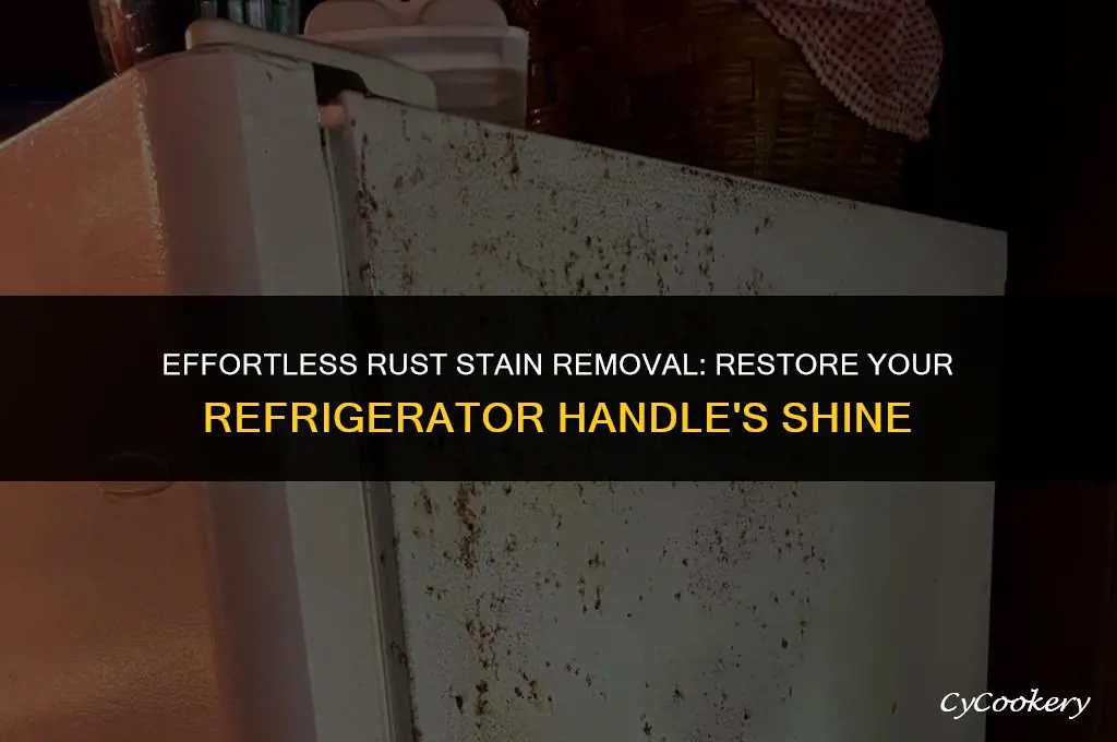 how to remove rust stain on refrigerator handle