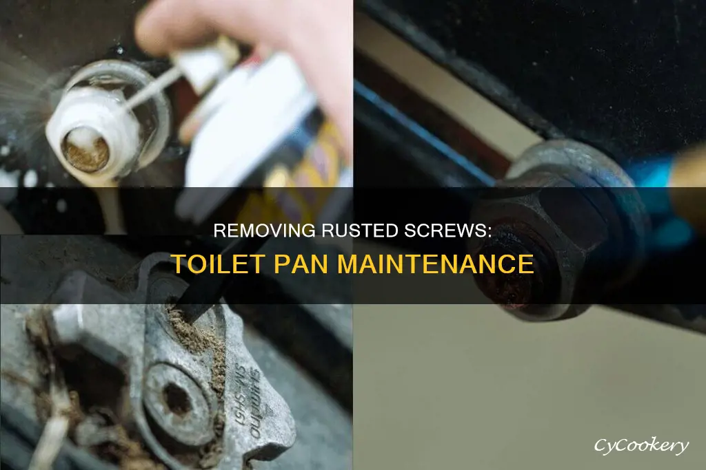 how to remove rusted screws from toilet pan