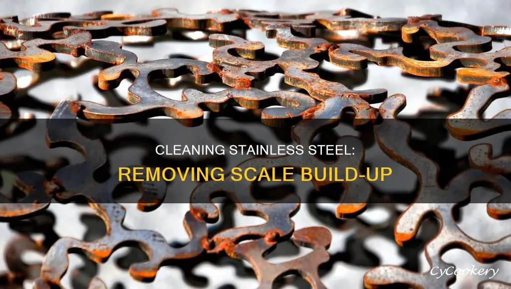 how to remove scale build up in stainless steel pan