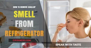 Eliminate Scallop Odor: Quick Tips to Freshen Your Refrigerator