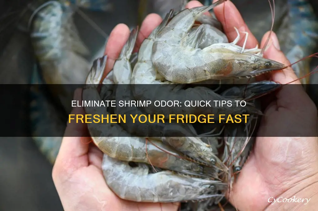 how to remove shrimp smell from refrigerator