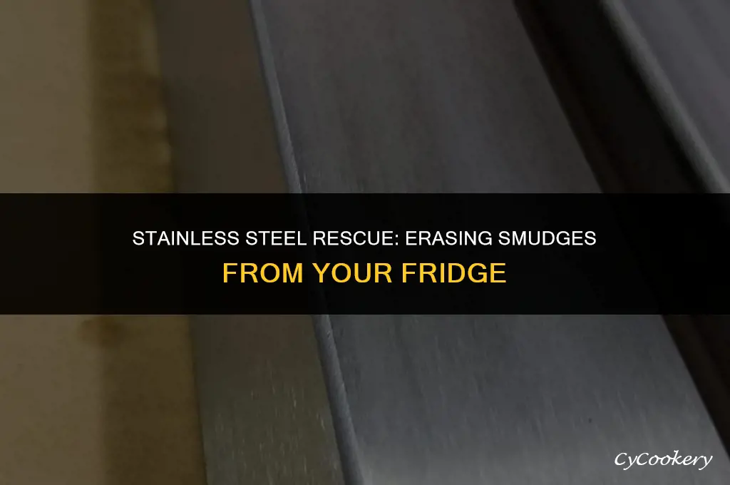 how to remove smudges from stainless steel refrigerator