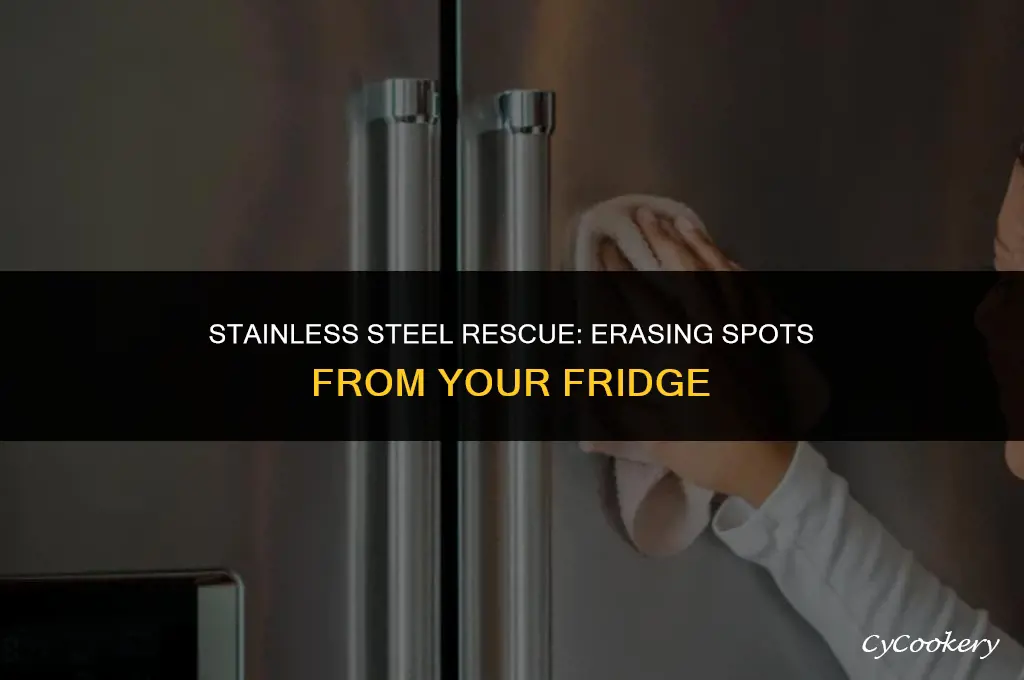 how to remove spots from stainless steel refrigerator