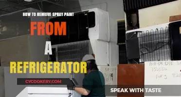 Effortless Spray Paint Removal from Your Refrigerator: A Guide