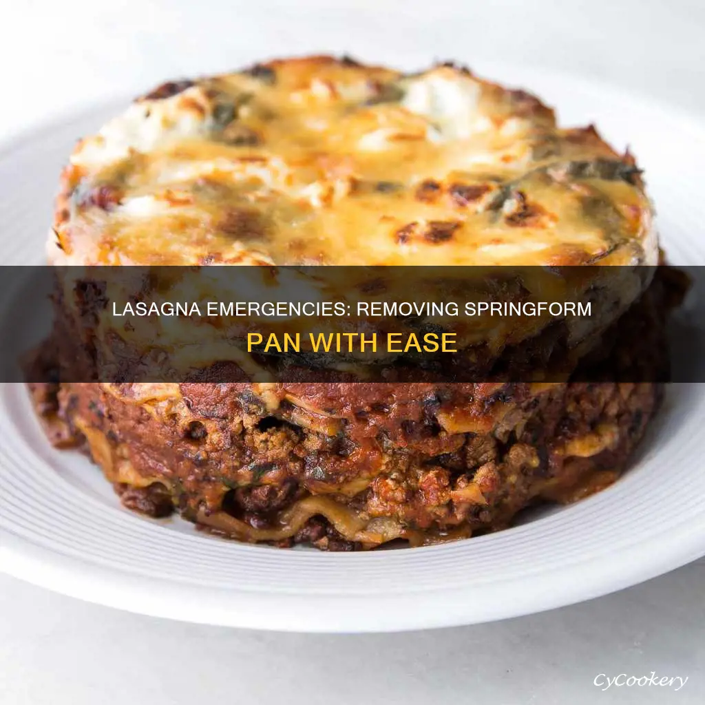 how to remove springform pan from lasagna