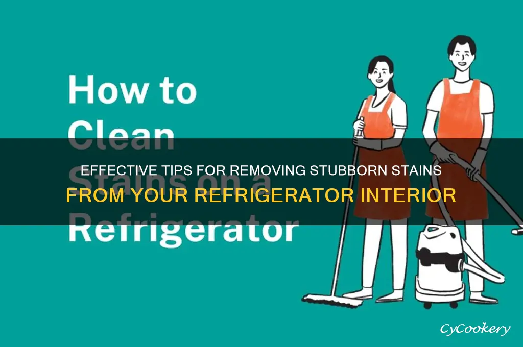 how to remove stains from inside refrigerator