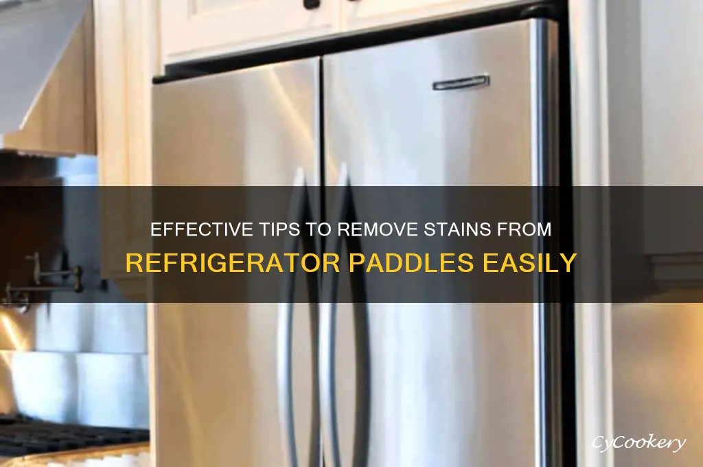how to remove stains from refrigerator paddles