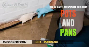 Eradicate Mouse Urine from Cookware