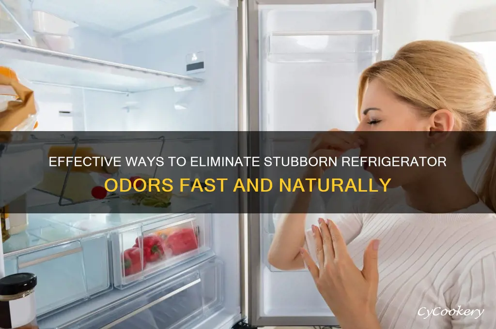 how to remove strong odors from refrigerator