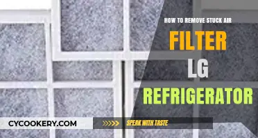 Efficiently Remove a Stuck Air Filter from Your LG Refrigerator