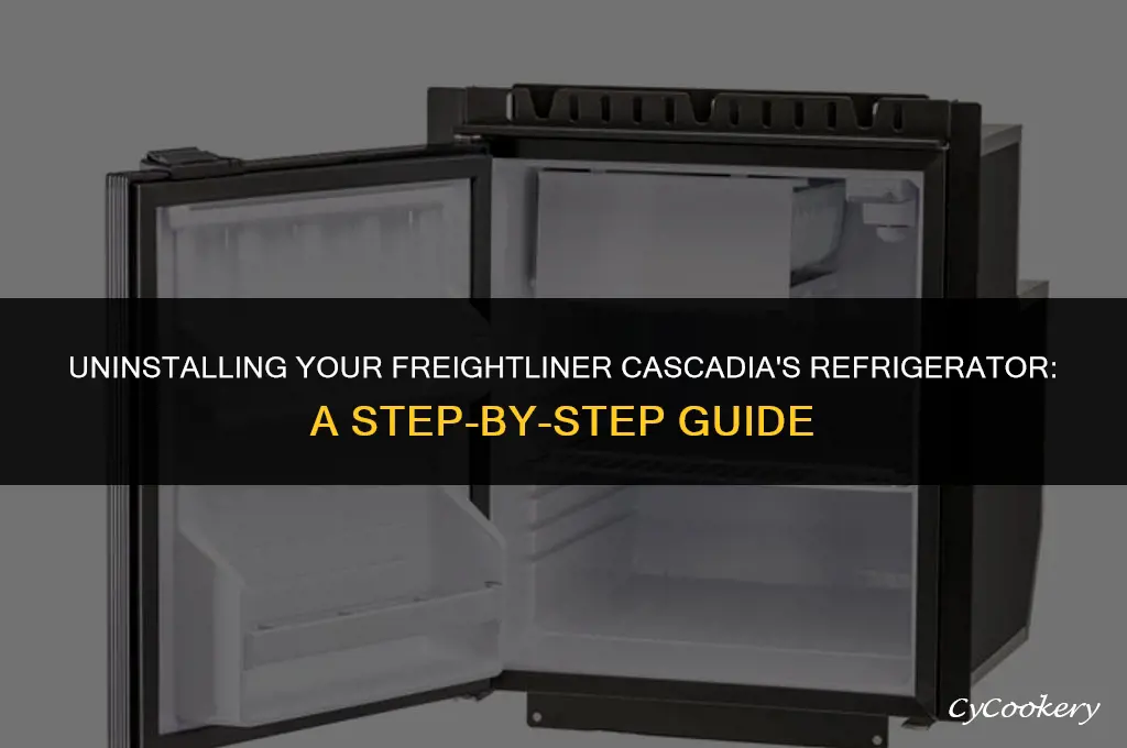 how to remove the refrigerator from a freightliner cascadia
