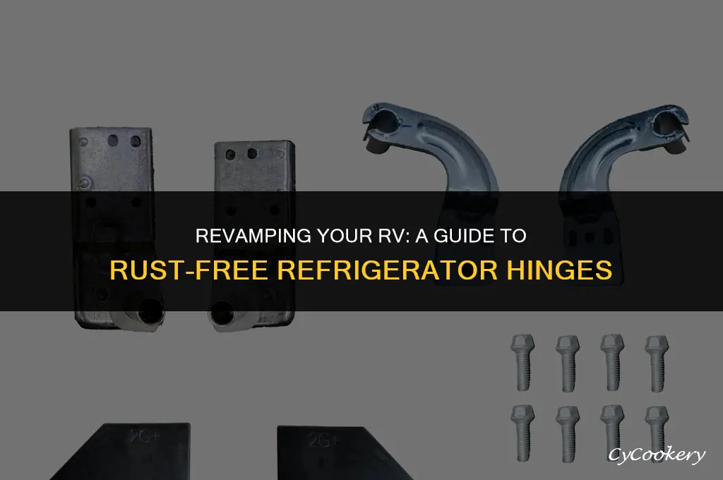 how to remove the rust from rv refrigerator hinges