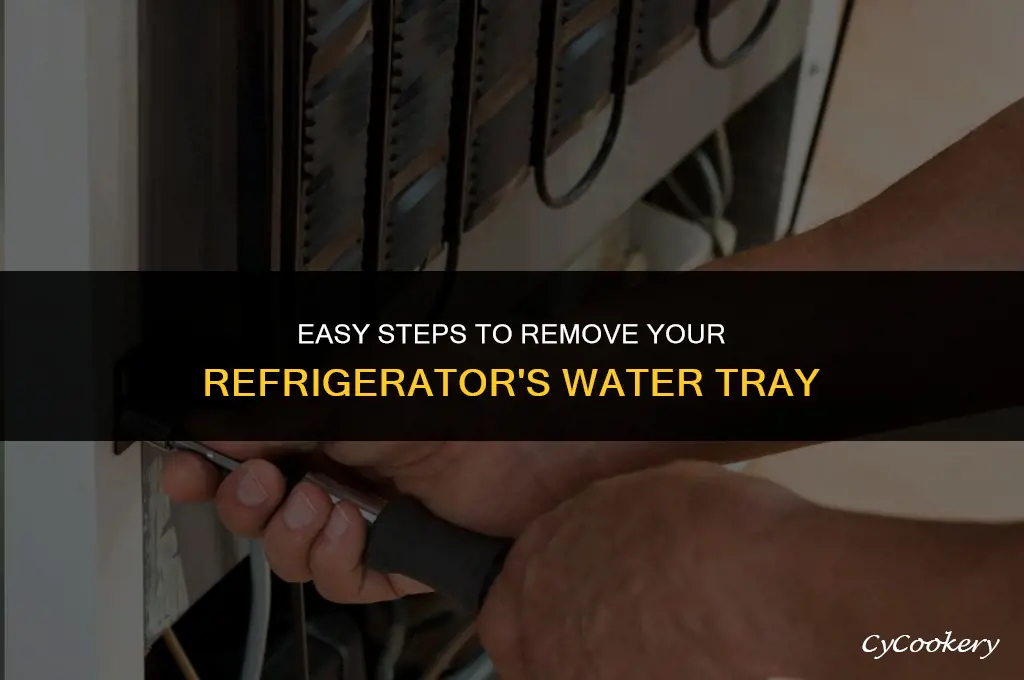 how to remove thewater tray of the refrigerator