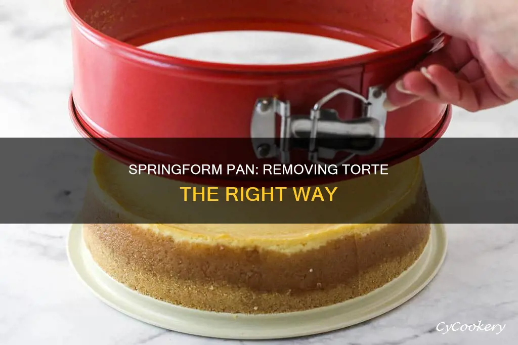 how to remove torte from springform pan