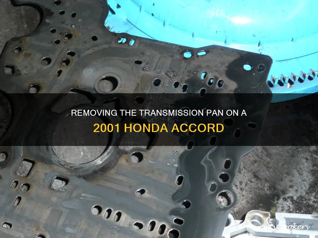 how to remove transmission pan on 2001 honda accord