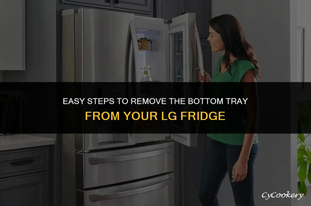 how to remove tray from bottom of lg refrigerator